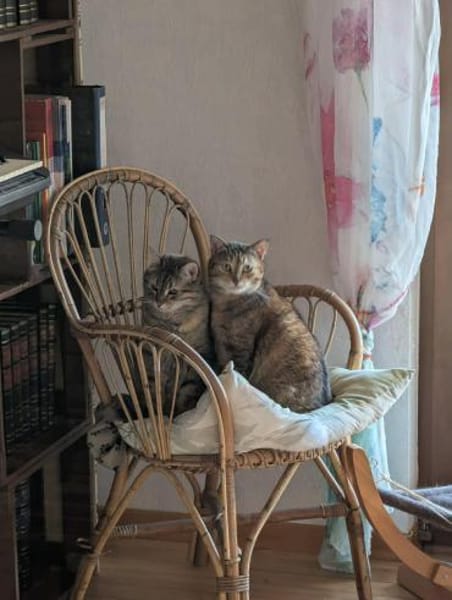 Mia und Olimba wollen zusammen bleiben