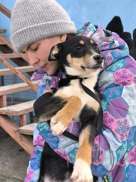 Ihre einzige Chance!