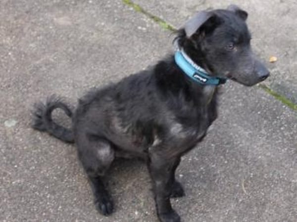 Paco sucht seine Familie