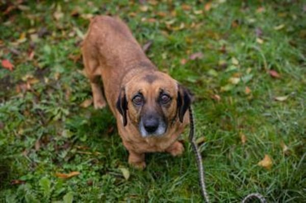 ANKA - Neugierige Entdeckerin sucht Dich