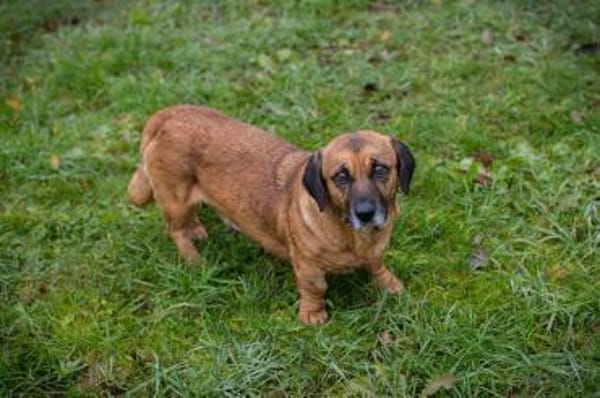 ANKA - Neugierige Entdeckerin sucht Dich