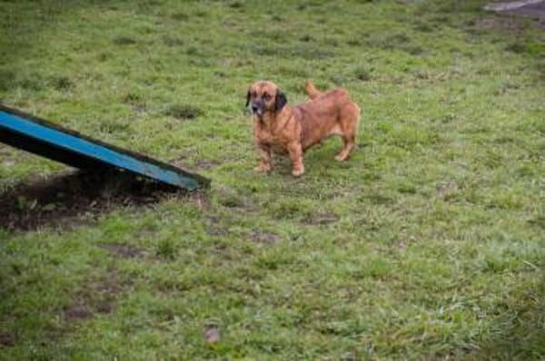 ANKA - Neugierige Entdeckerin sucht Dich