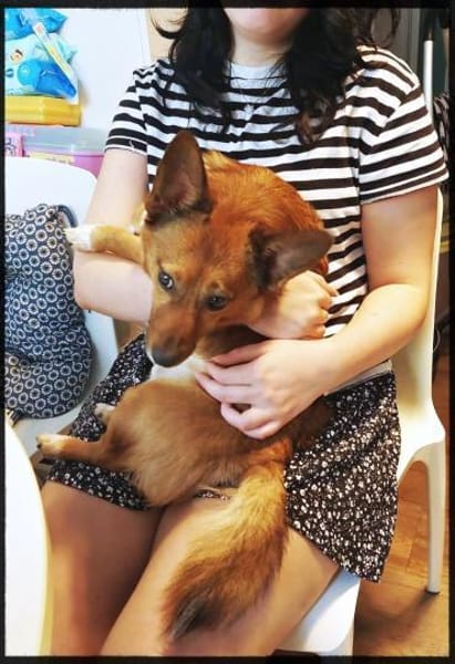 Lass ein Wintermärchen war werden