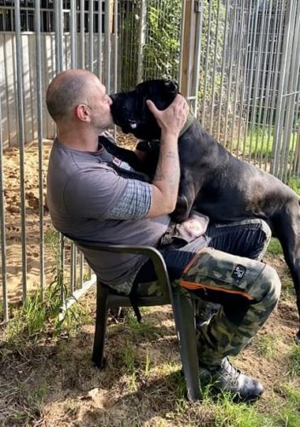 Siggi aka Julio, derzeit in Köln