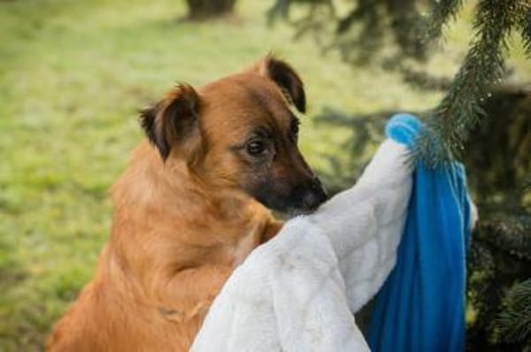 MAIKA - Liebevolle Mama sucht ihr Glück