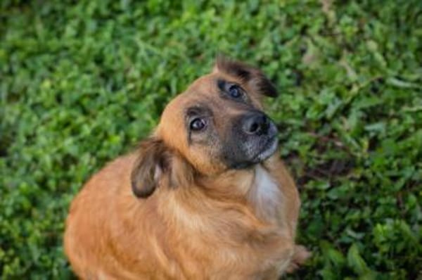 MAIKA - Liebevolle Mama sucht ihr Glück