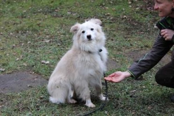 Moyo su. sehr geduldiges Zuhause