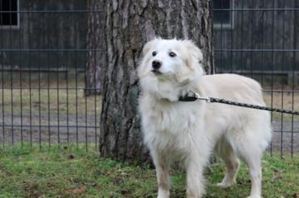 Moyo su. sehr geduldiges Zuhause