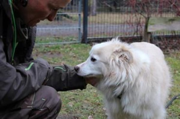 Moyo su. sehr geduldiges Zuhause