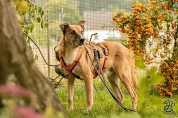 DOMANI -braucht Zeit zum auftauen-