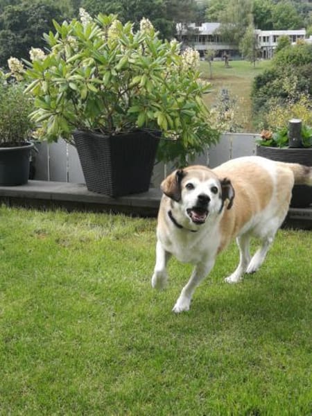 Cecilio,topfitter Senior möchte 1 Family