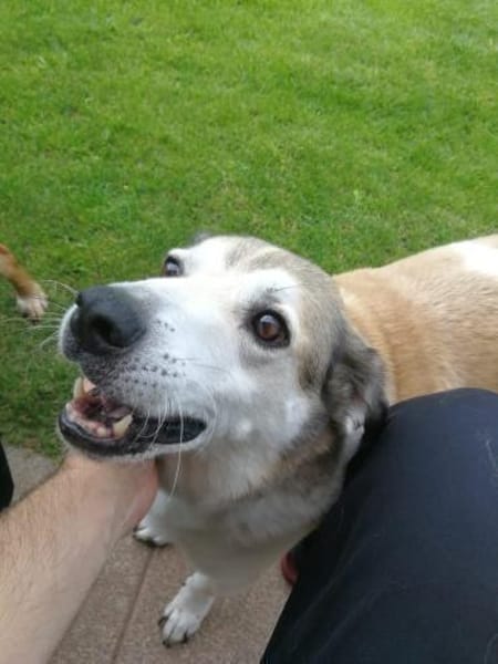 Cecilio,topfitter Senior möchte 1 Family