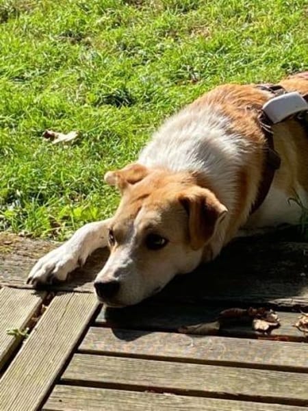 LOVELYN -sucht erfahrene Menschen-