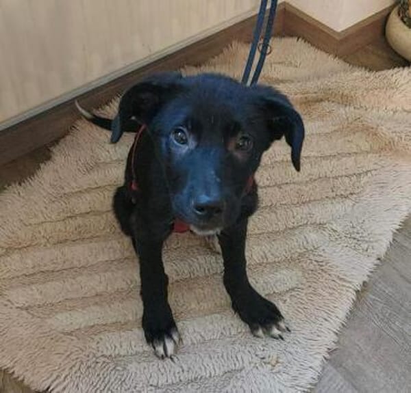 TESSI * taffe Mädchen kommen überall hin