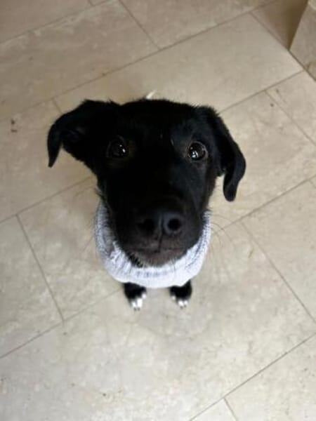 TESSI * taffe Mädchen kommen überall hin