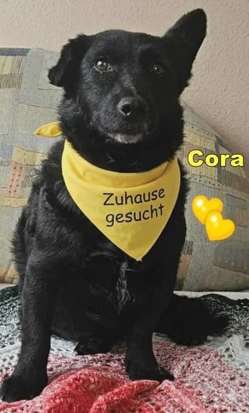 Cora mag erlebnisreiche Spaziergänge