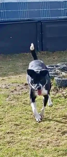 JONAH -sucht erfahrene Menschen-