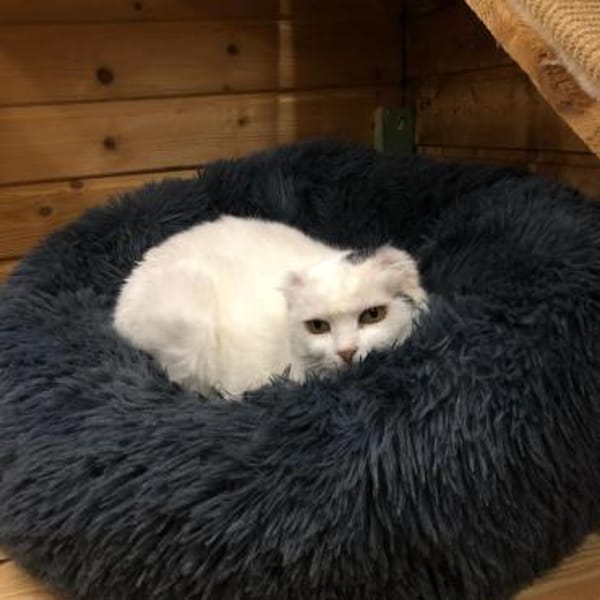 Fiona - zarte Kämpferin