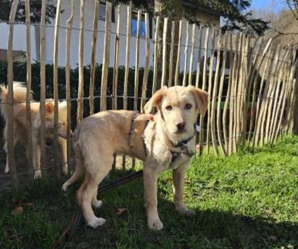 Mara sucht Traumzuhause