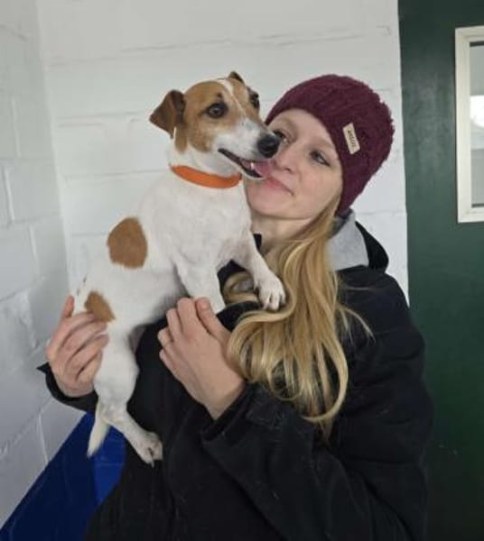 Judy Marie kleine aktive Hundedame