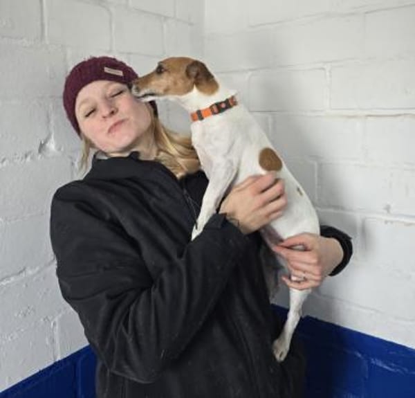 Judy Marie kleine aktive Hundedame