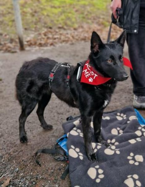 Schönheit Emma in 45138 Essen