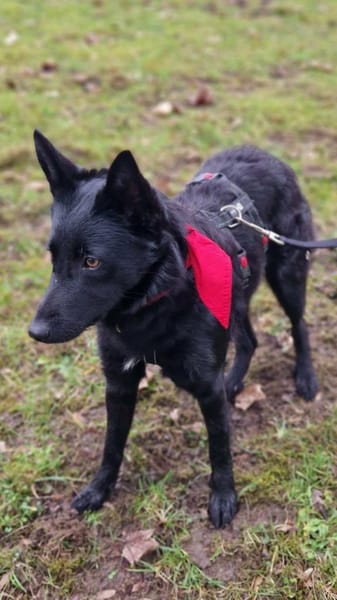 Schönheit Emma in 45138 Essen