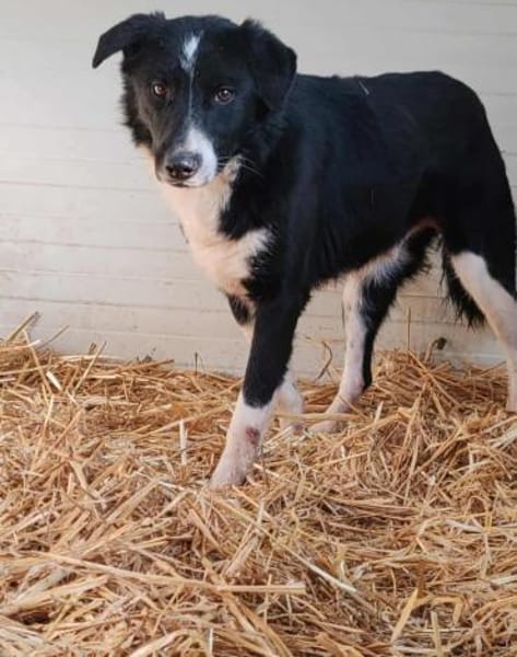 JOHN-BOY jetzt auf PS in 65... Hünfelden