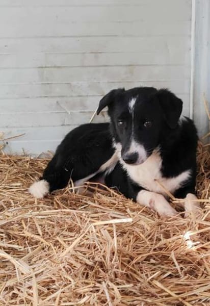 JOHN-BOY jetzt auf PS in 65... Hünfelden