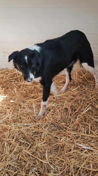 JOHN-BOY jetzt auf PS in 65... Hünfelden