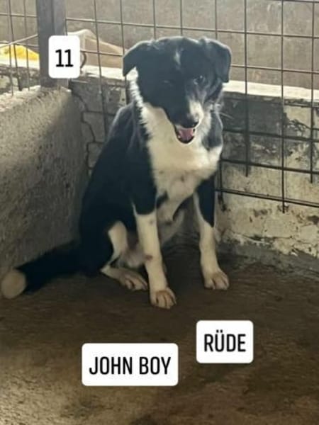 JOHN-BOY jetzt auf PS in 65... Hünfelden