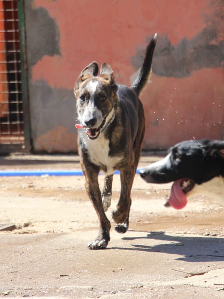 OKEL  (Puertollano)