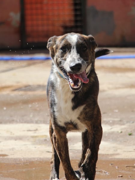 OKEL  (Puertollano)