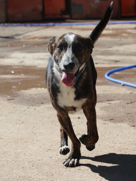 OKEL  (Puertollano)