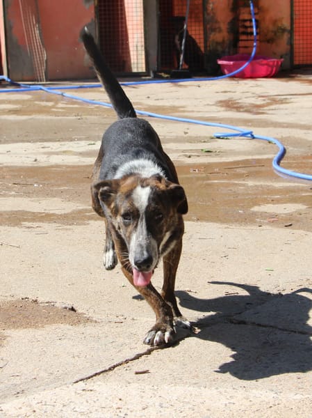 OKEL  (Puertollano)