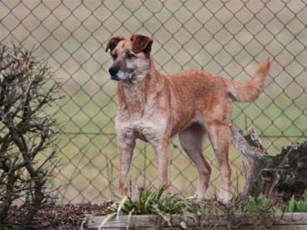 Morina - wartet in 91080 Spardorf