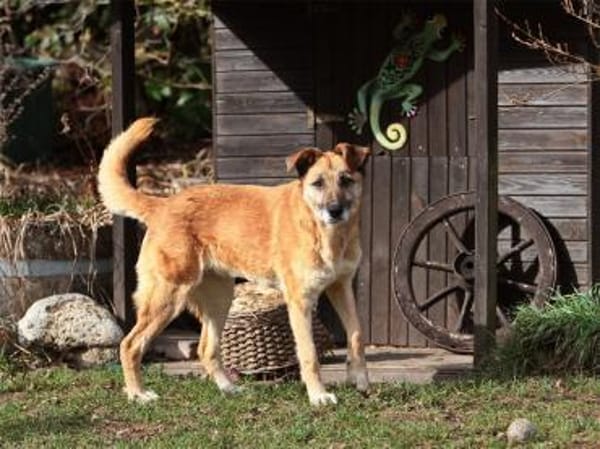 Morina - wartet in 91080 Spardorf