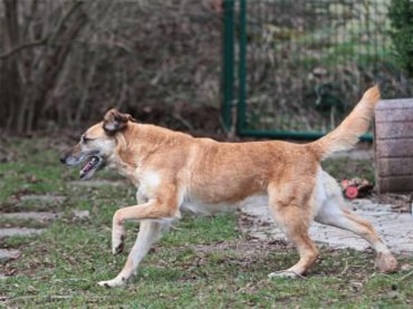 Morina - wartet in 91080 Spardorf