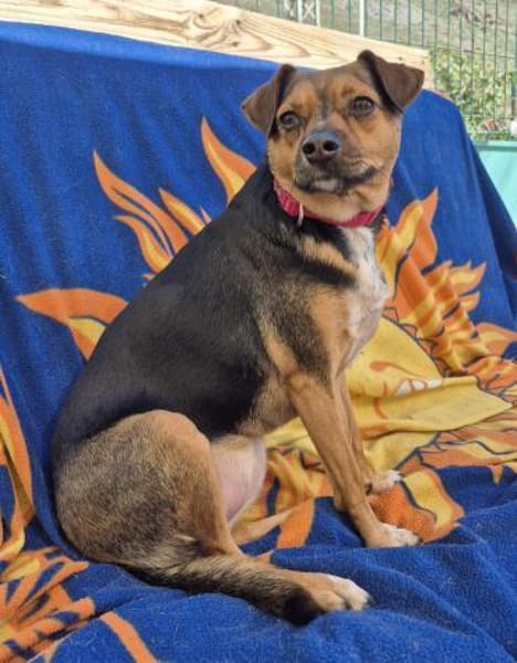 CANELA 💝 zuckersüße Knutschkugel