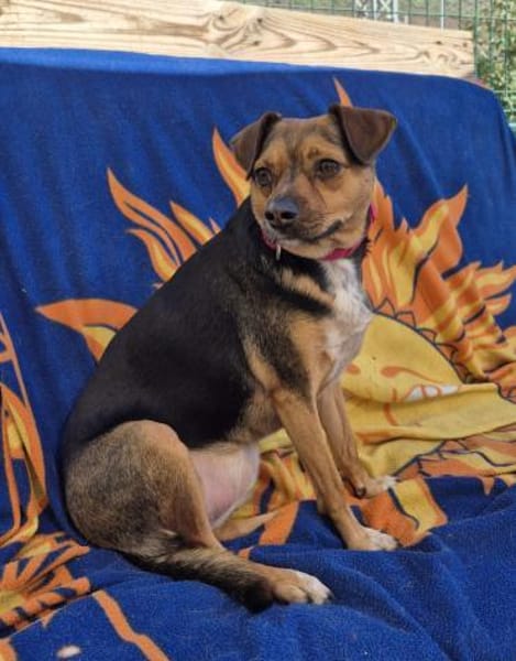 CANELA 💝 zuckersüße Knutschkugel