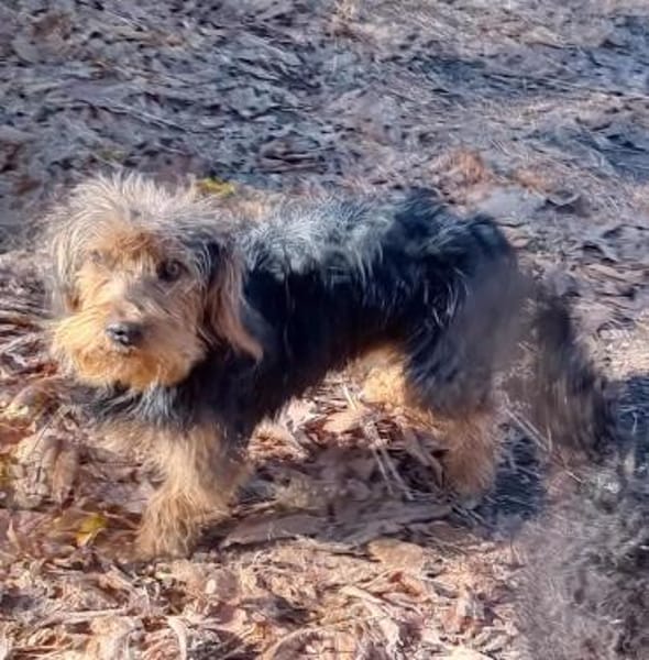 Karesz möchte endlich ankommen