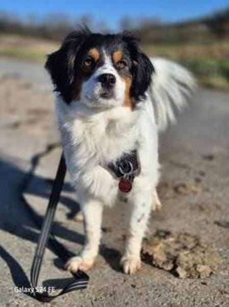 Brioche - sanft und besonders