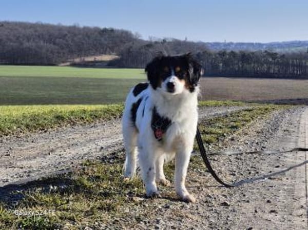 Brioche - sanft und besonders