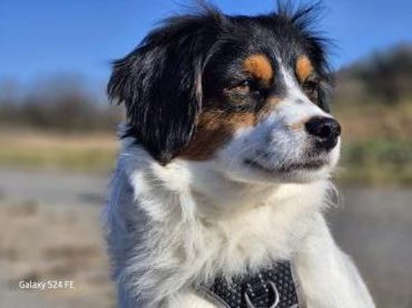 Brioche - sanft und besonders