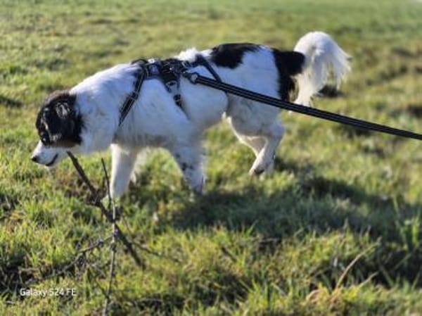 Brioche - sanft und besonders