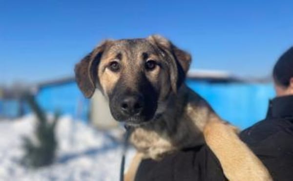 Annabell sucht eine aktive Familie