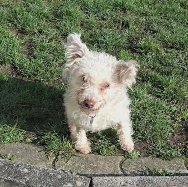 Fine - ein eigenes Zuhause wäre schön