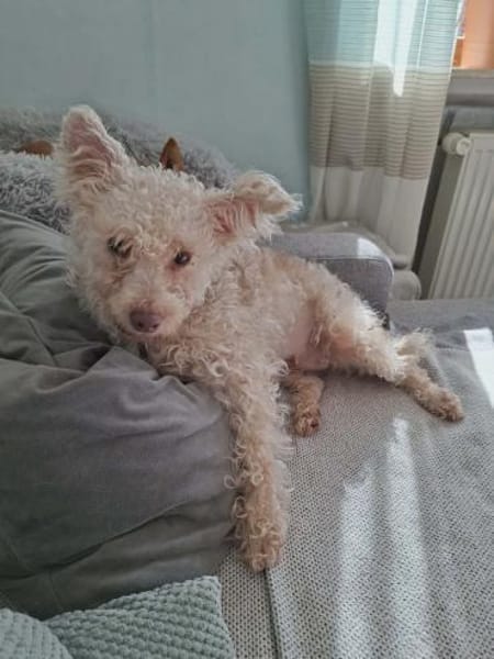 Fine - ein eigenes Zuhause wäre schön