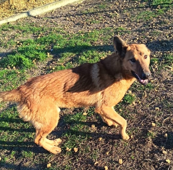 Izidor möchte so gerne Nähe u. Wärme