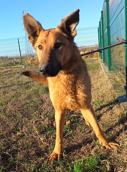 Izidor möchte so gerne Nähe u. Wärme